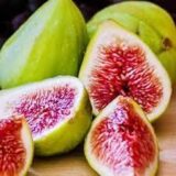 Саджанці інжиру самоплідного "Далматський" (Турецький Білий) (0,5-0,7 м) - Зображення 2