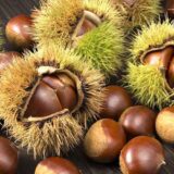 Саджанці каштану їстівного "Castanea sativa"  0,6-0,8 см - Зображення 3