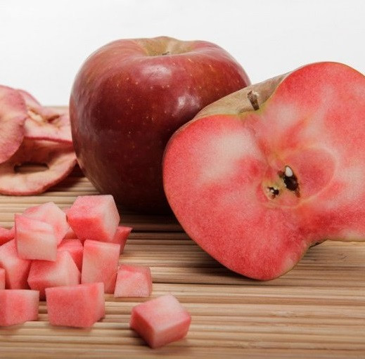 2598213235_sazhentsy-yabloni-red.jpg Саджанці яблуні "Red Moon" - Зображення 1