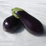 Баклажан Епік F1, 15 шт (Seminis) - Зображення 2