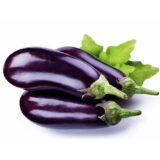 Фабіна F1 насіння баклажана раннього (Clause) 20 шт - Зображення 3