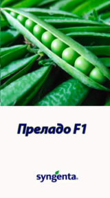 Преладо насіння гороху (Syngenta) 20 гр - Зображення 3