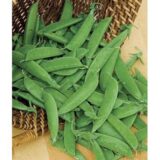 Шуга Бон насіння гороху (Satimex) 20 г - Зображення 2