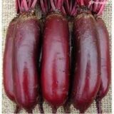 Карілон насіння буряка столового (Rijk Zwaan) 200 шт - Зображення 3