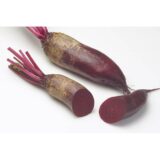 Карілон насіння буряка столового (Rijk Zwaan) 200 шт - Зображення 2