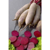 Ломако насіння буряка столового (Rijk Zwaan) 200 шт - Зображення 3