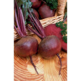 Нобол насіння буряка столового (Clause) 3 г. - Зображення 3