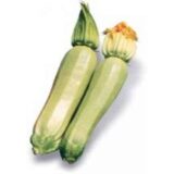 Кабачок Кавілі F1, 5 шт. (Власне фасування з оригінального упакування), (Nunhems). - Зображення 3