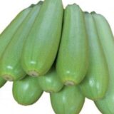 Немо F1 насіння кабачка (Lark Seeds) 5 шт - Зображення 3