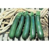 Тарміно F1 насіння цукіні (Clause) 5 шт - Зображення 3