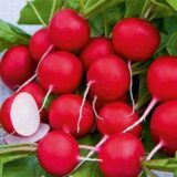 Насіння редиски Джолі (Clause) 3 г - Зображення 2