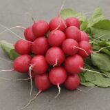 Редис Рудольф, 2 г. (Власне фасування з оригінального упакування), (Bejo Zaden). - Зображення 3