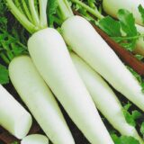 Насіння редьки Дайкон  (Satimex ) 3 г - Зображення 3