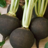 Насіння редьки Чорна (Satimex) 3 г - Зображення 2