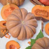 Мускат де Прованс насіння гарбуза (Satimex) 10 шт - Зображення 2