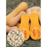 Арабатський насіння гарбуза (Україна СДБ) 10 г - Зображення 3