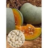 Волзький сірий насіння гарбуза (Україна) 3 г - Зображення 3