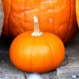 Цукерочка насіння гарбуза (Украина) 2 г - Зображення 2