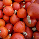 Потімаррон насіння гарбуза (Servise plus (GSN) 5 шт - Зображення 3