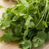 Слоуболт насіння коріандра 2г (кінзи) (Hem Zaden) - Зображення 3