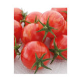 Вернісаж червоний насіння помідор (Садиба центр) 0.1 г - Зображення 2
