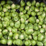 Абакус F1 насіння капусти брюссельскої (Syngenta) 10 шт - Зображення 3