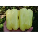 Нікіта F1 насіння перцю солодкого (Clause) 8 шт - Зображення 4