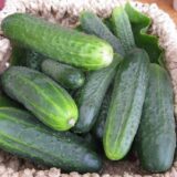 Огірок Гектор F1, 20 шт. (Власне фасування з оригінального упакування), (Nunhems).