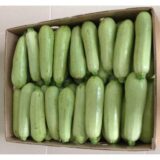 Аспірант насіння кабачка (Укр.) 10 г - Зображення 4