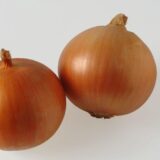 Універсо F1 насіння цибулі ріпчастої жовтої (Nunhems) 200 шт - Зображення 2