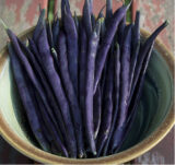 Пурпурова королева насіння квасолі спаржевої (Садиба центр) 10 шт - Зображення 3