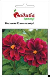 Жоржина Кровава мері насіння (Hem Zaden) 0.1 г
