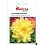 Жоржина Жовтий дим насіння (Hem Zaden) 0.1 г