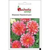 Жоржина Червоний дим насіння (Hem Zaden) 0.1 г