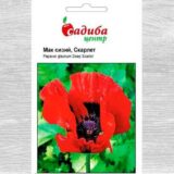 Мак Скарлет насіння (Hem Zaden) 0.1 г