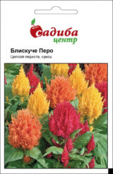 Целозія периста Блискуче перо, суміш насіння (Hem Zaden) 0.02 г