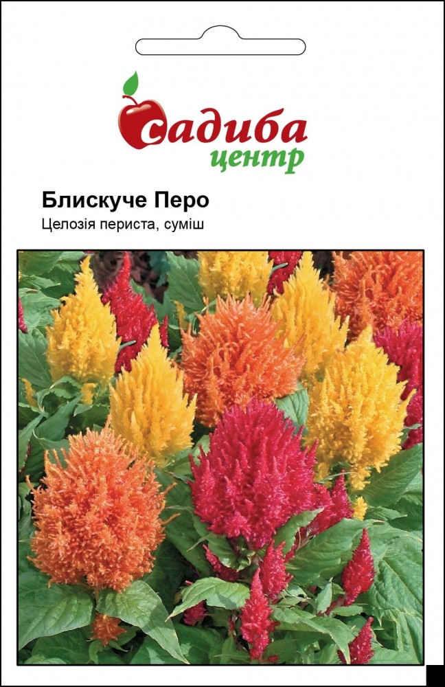 2861184320_tseloziya-perista-bliskuche.jpg Целозія периста Блискуче перо, суміш насіння (Hem Zaden) 0.02 г - Зображення 1