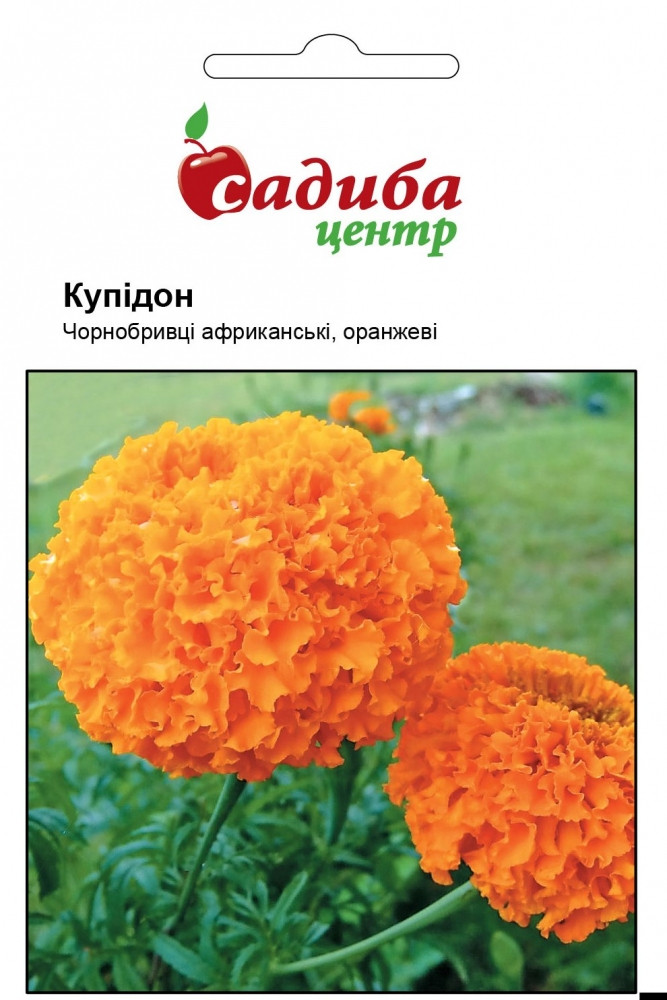 2861857923_chornobrivtsi-kupidon-oranzhevi.jpg Чорнобривці Купідон оранжеві насіння (Hem Zaden) 0.2г - Зображення 1