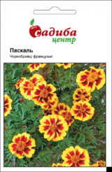 Чорнобривці Паскаль насіння  (Hem Zaden) 0.2 г