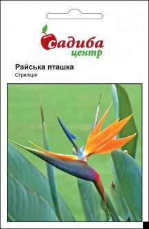 2864870236_strelitsiya-rajska-ptashka.jpg Стреліція Райська пташка (Hem Zaden) 0.01 г - Зображення 1