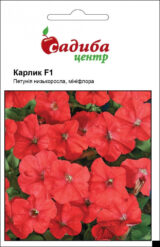 Петунія Карлик F1, червона, 10 гранул