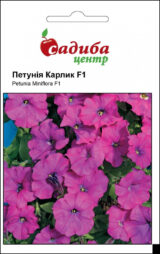 Петунія Карлик F1, фіолетова, 10 гранул