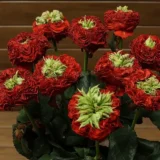 Саджанці троянди «Red Eye» (Ред Ай) - Зображення 3