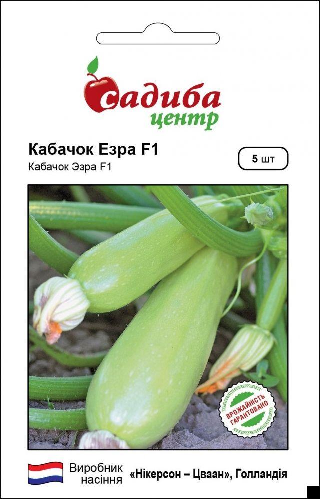 2892767673_ezra-f1-nasinnya.jpg Езра F1 насіння кабачка (Hazera) 5 шт - Зображення 1