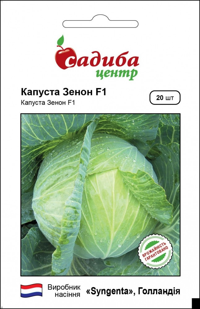 2893099884_zenon-f1-nasinnya.jpg Зенон F1 насіння капусти білоголової (Syngenta) 20 шт - Зображення 1