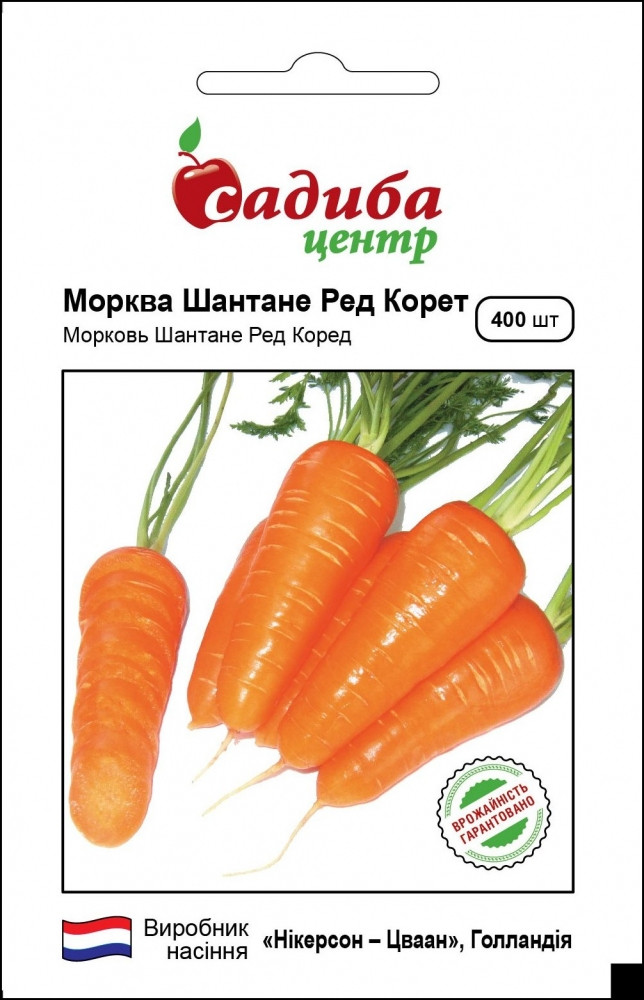 2893734782_morkva-shantane-red.jpg Морква Шантане Ред Коред, 400 шт (GSN-Semences, Франція) - Зображення 1