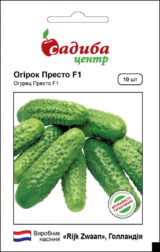 Престо F1 насіння огірка партенокарпічного (Rijk Zwaan) 10 шт