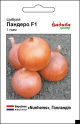 Пандеро F1 насіння цибулі ріпчастої (Nunhems Zaden) 1 г