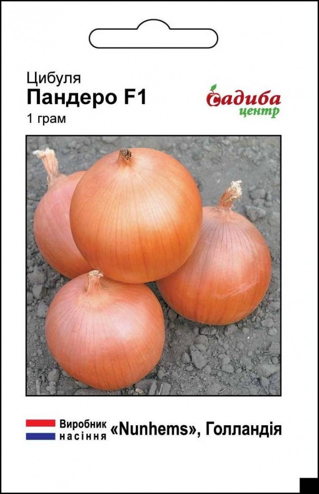 2896215472_pandero-f1-nasinnya.jpg Пандеро F1 насіння цибулі ріпчастої (Nunhems Zaden) 1 г - Зображення 1
