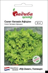 Афіціон насіння салату (Rijk Zwaan) 30 шт